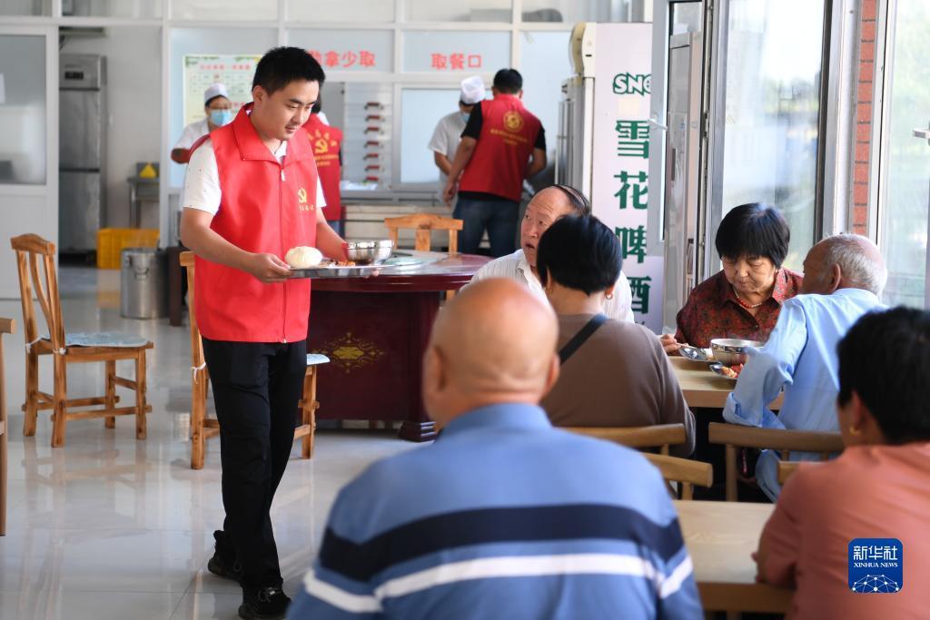 大白菜注册送礼金平台